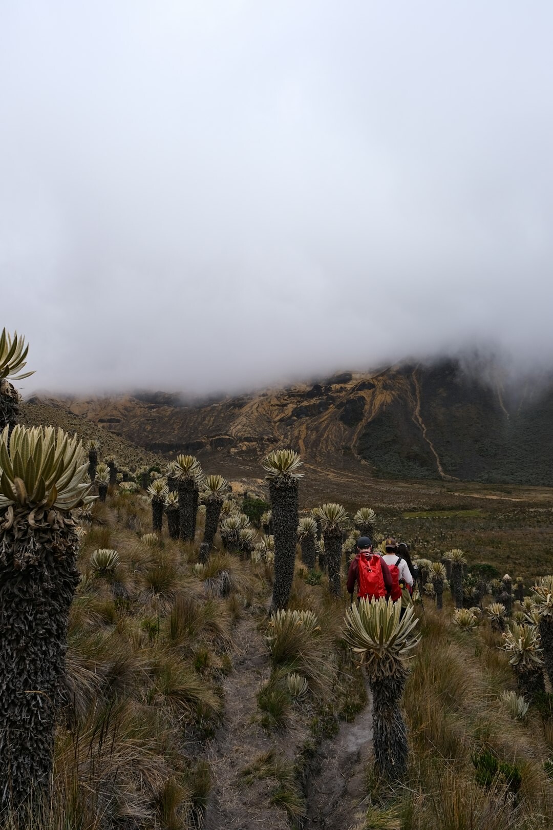Worn hiking boots and a backpack resting on a dirt trail in the Andes foothills